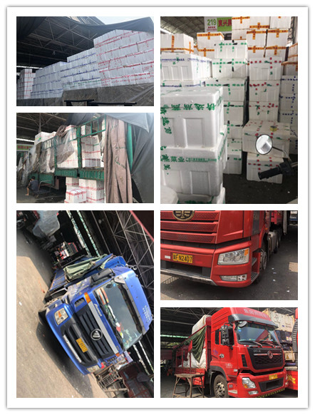 首页| J9集团国际站官方网站