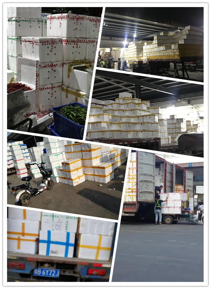 首页| J9集团国际站官方网站