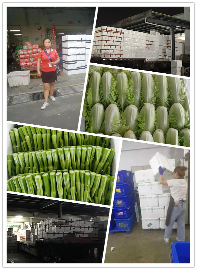 首页| J9集团国际站官方网站