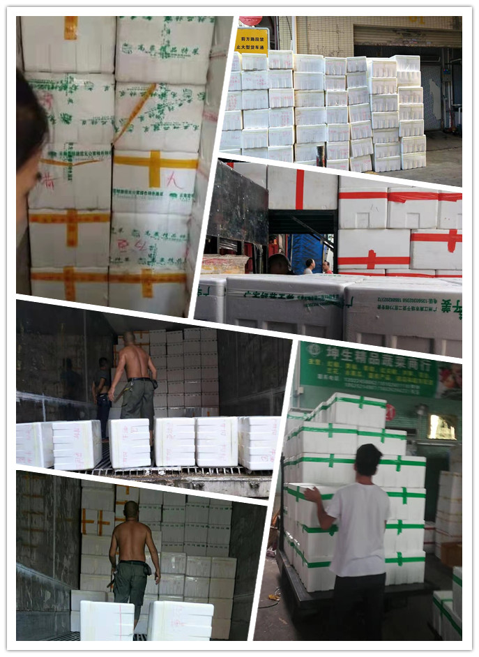 首页| J9集团国际站官方网站