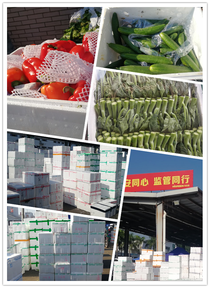 首页| J9集团国际站官方网站