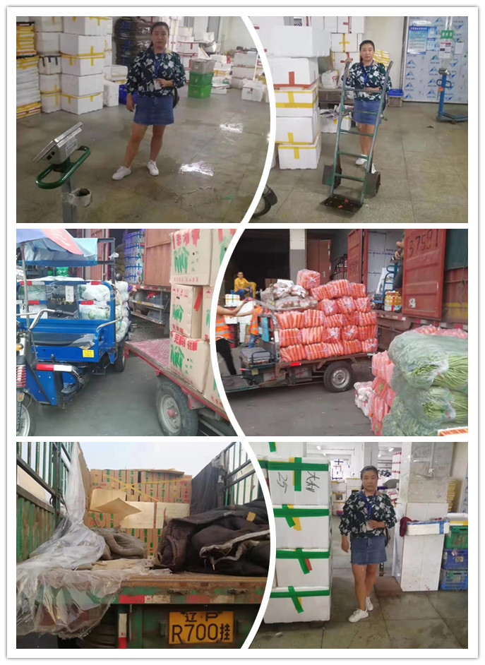 首页| J9集团国际站官方网站