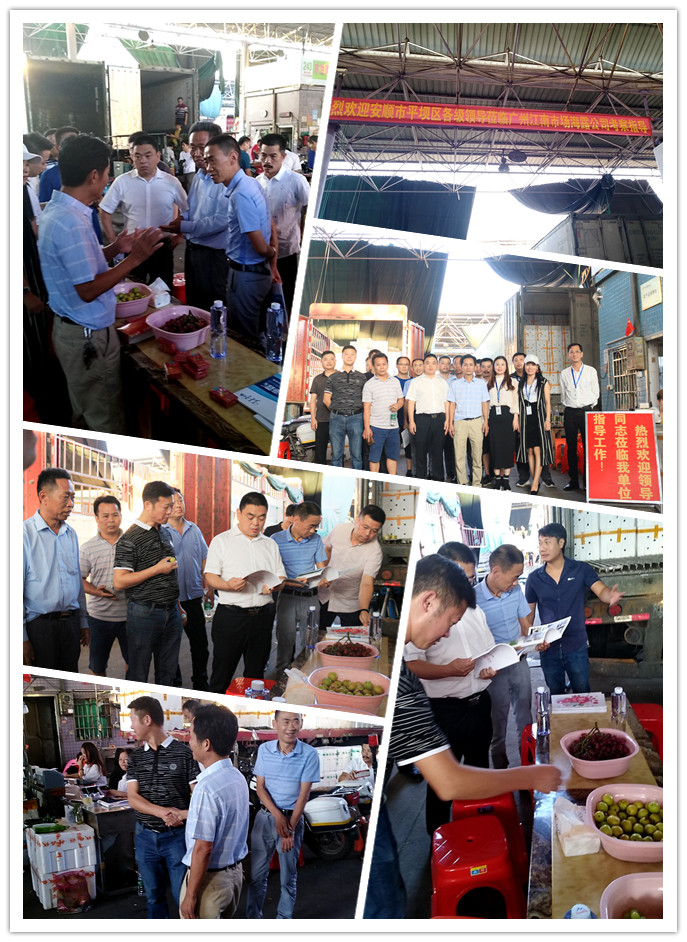 首页| J9集团国际站官方网站