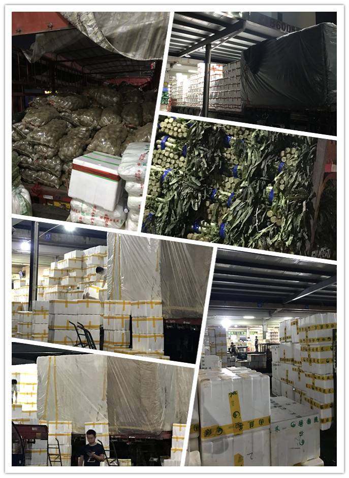 首页| J9集团国际站官方网站