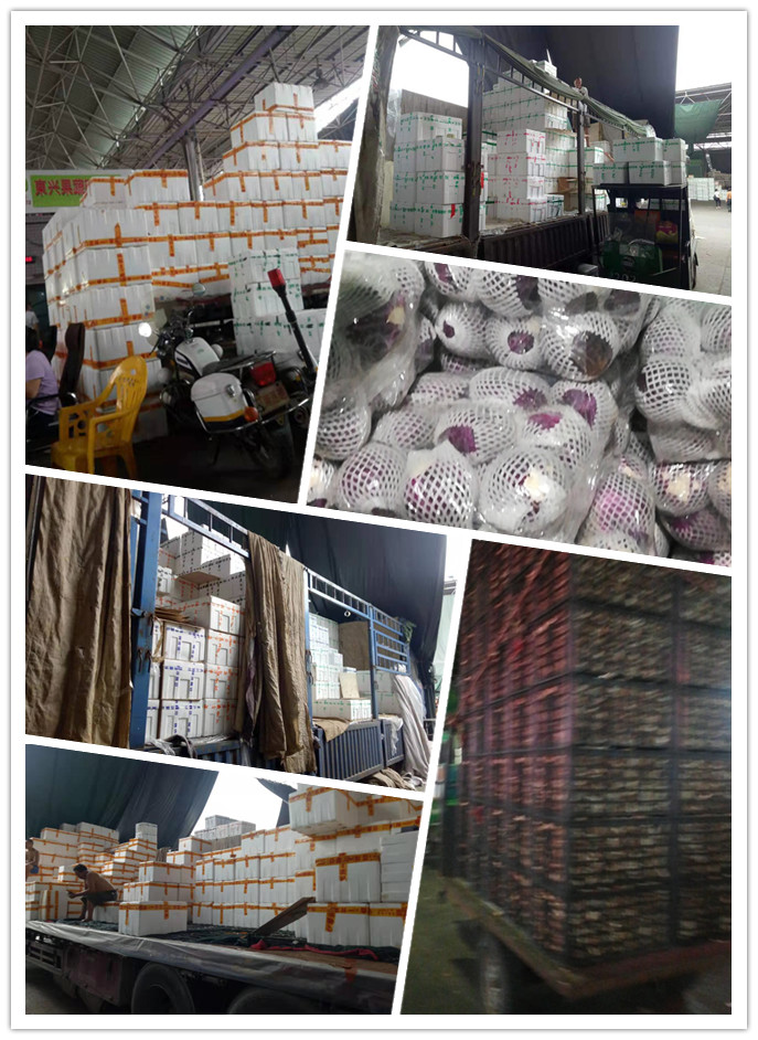 首页| J9集团国际站官方网站