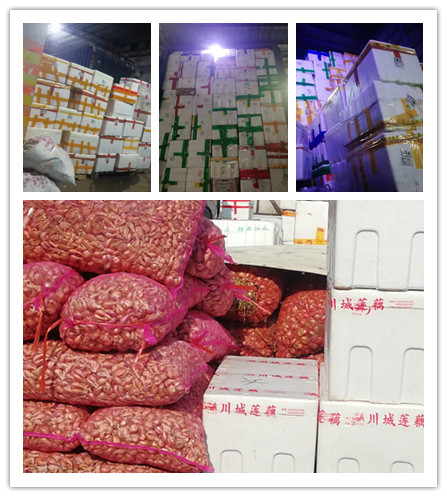 首页| J9集团国际站官方网站