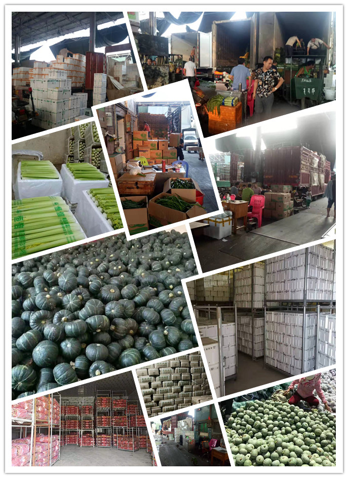 首页| J9集团国际站官方网站