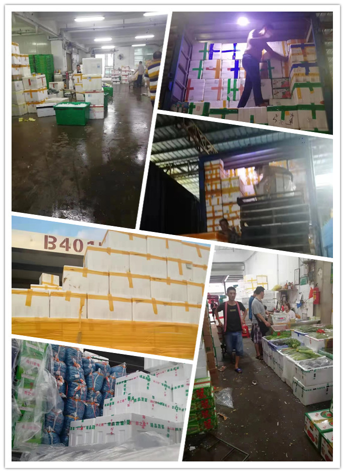 首页| J9集团国际站官方网站