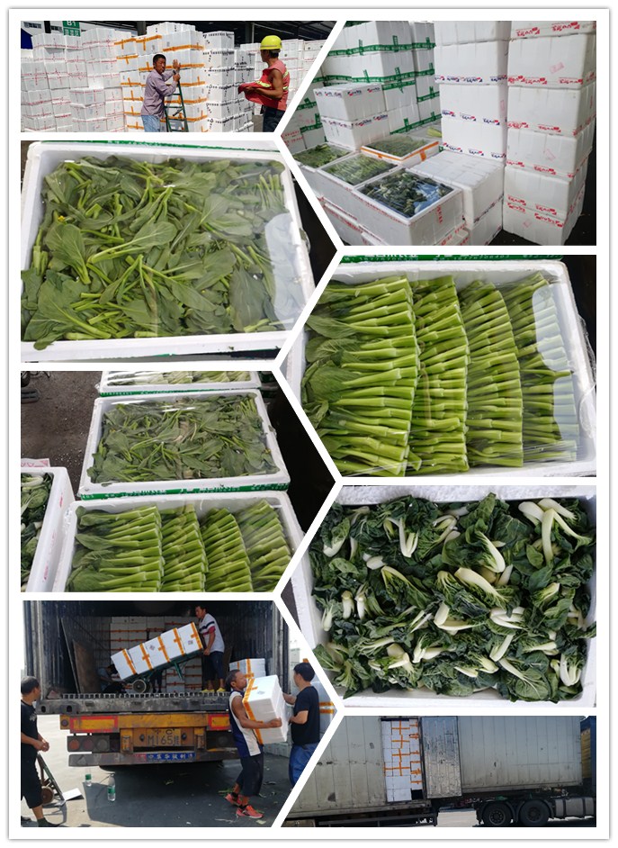 首页| J9集团国际站官方网站