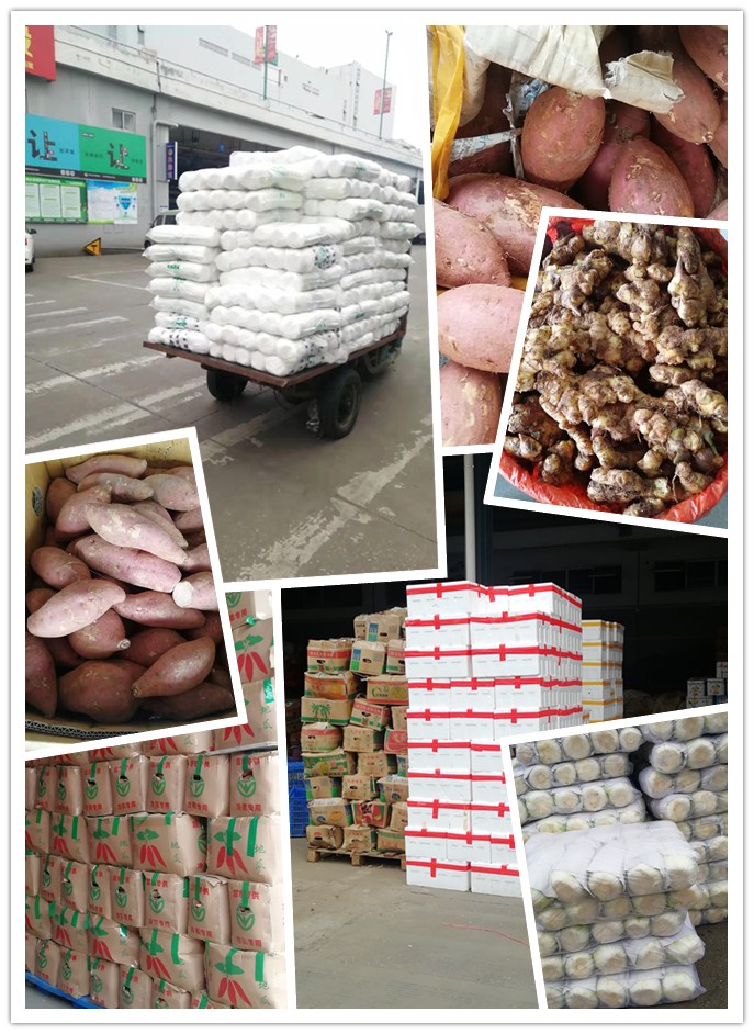 首页| J9集团国际站官方网站