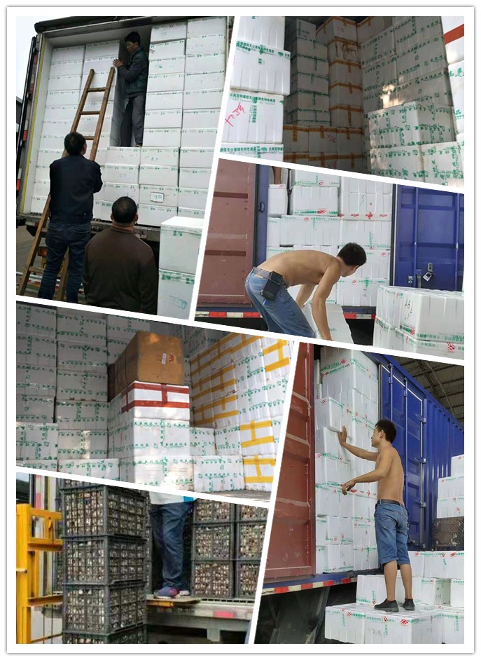 首页| J9集团国际站官方网站