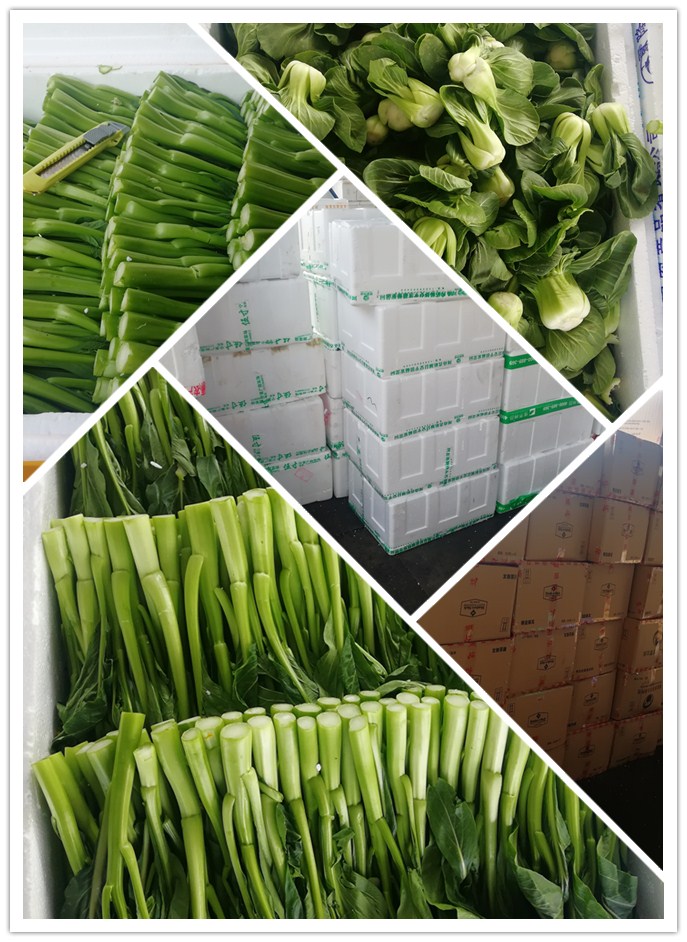 首页| J9集团国际站官方网站