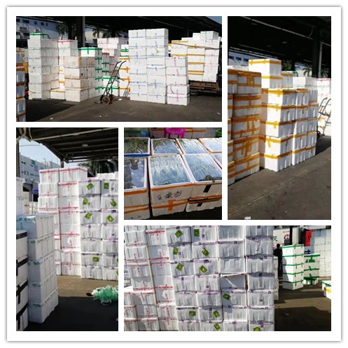 首页| J9集团国际站官方网站