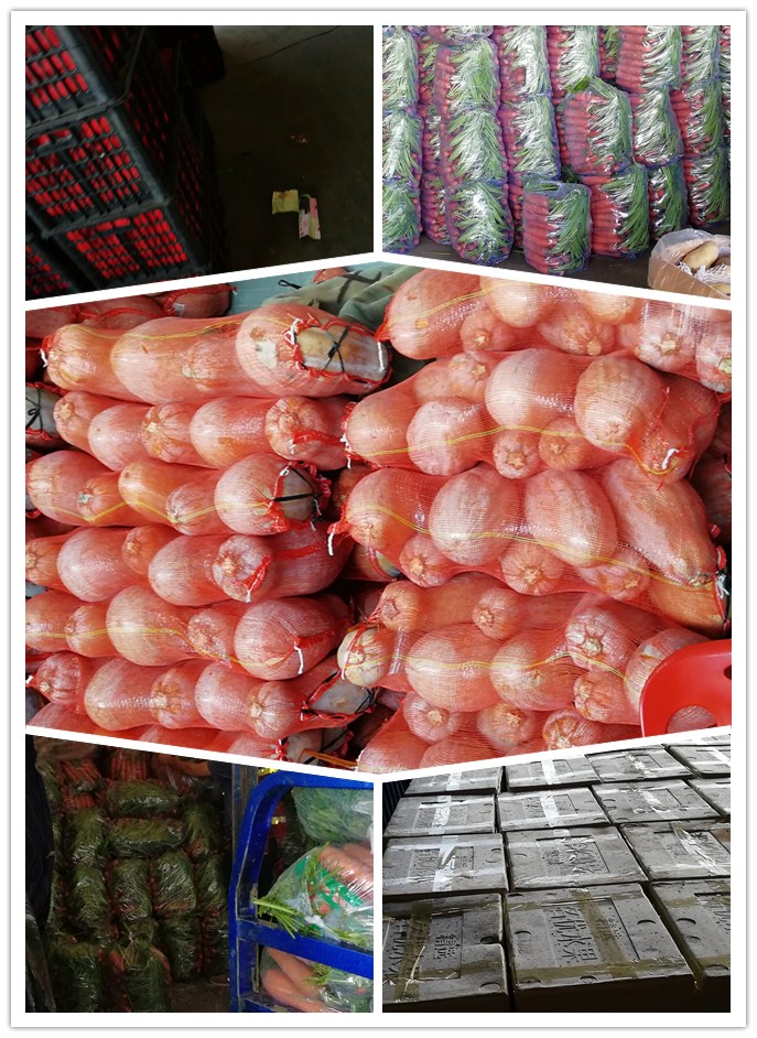 首页| J9集团国际站官方网站