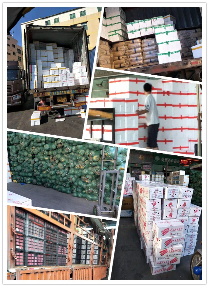 首页| J9集团国际站官方网站