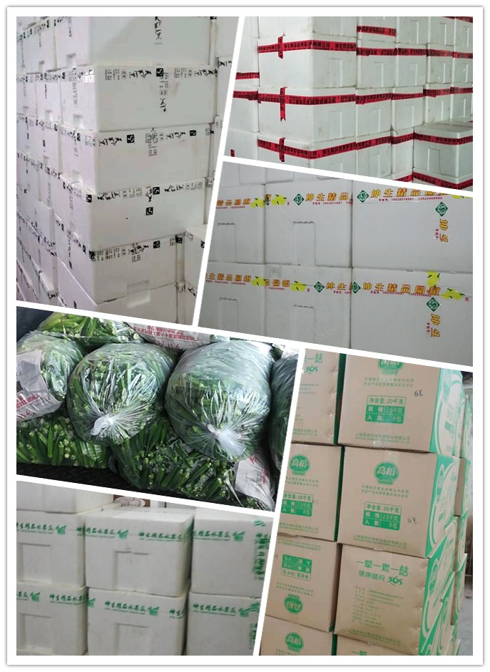 首页| J9集团国际站官方网站