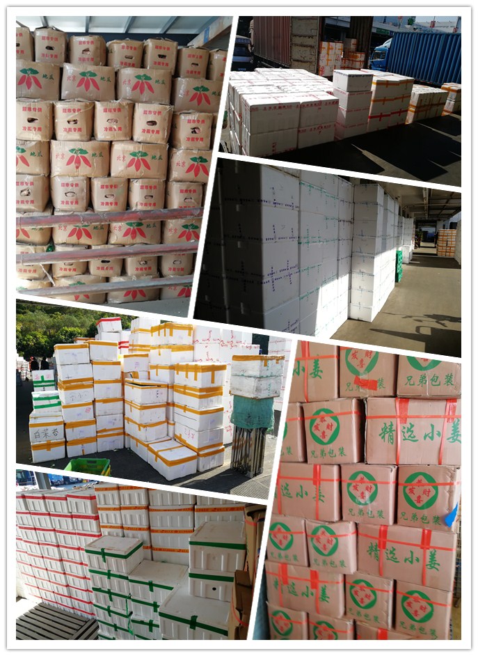 首页| J9集团国际站官方网站