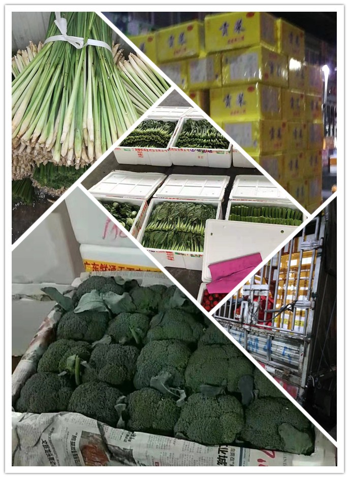 首页| J9集团国际站官方网站