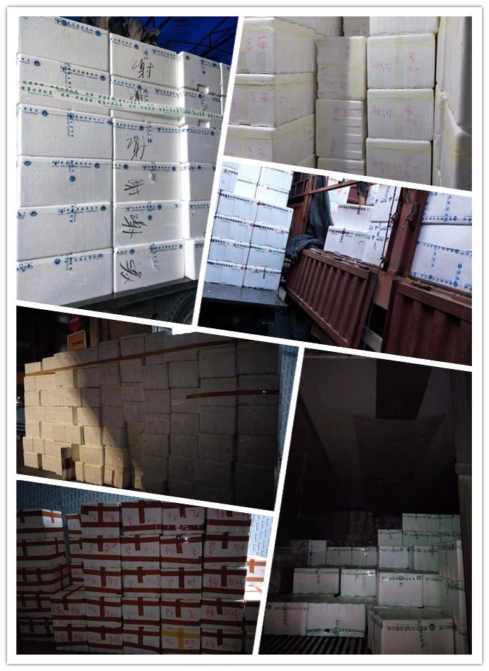 首页| J9集团国际站官方网站