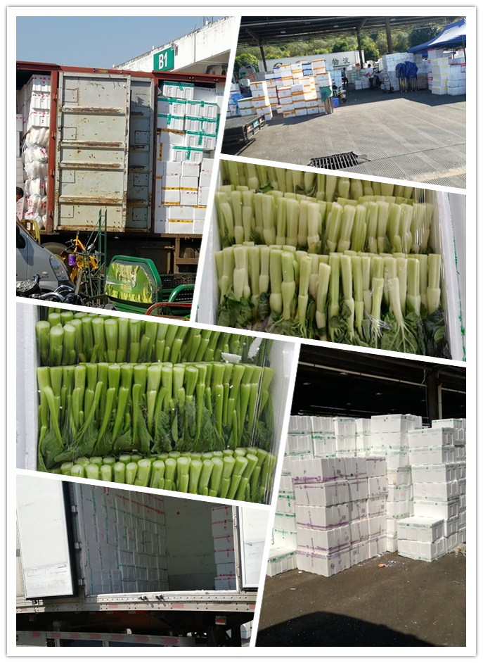 首页| J9集团国际站官方网站