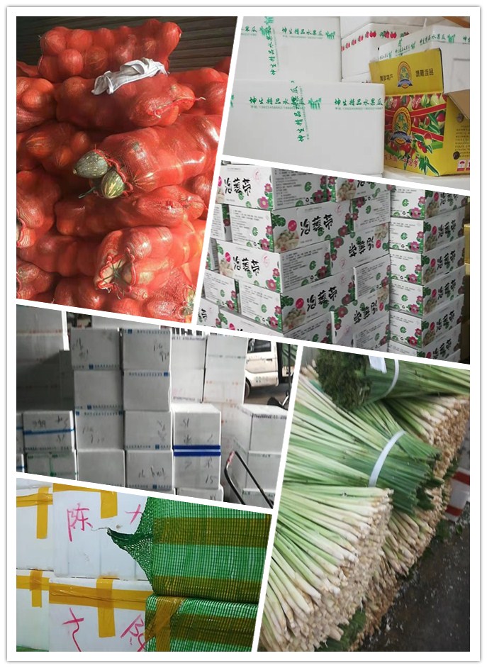 首页| J9集团国际站官方网站