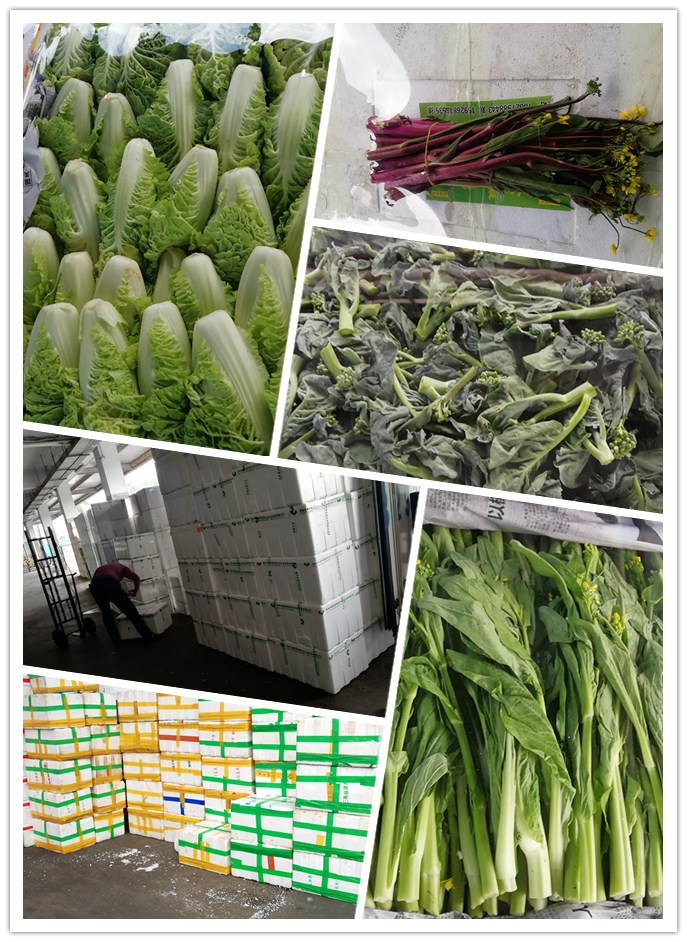 首页| J9集团国际站官方网站