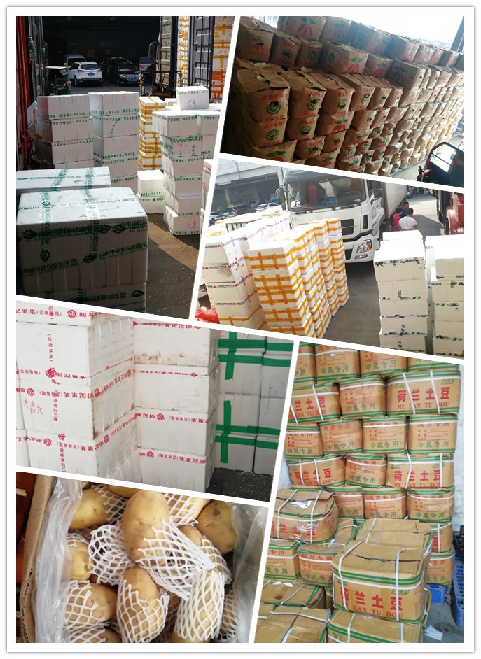 首页| J9集团国际站官方网站