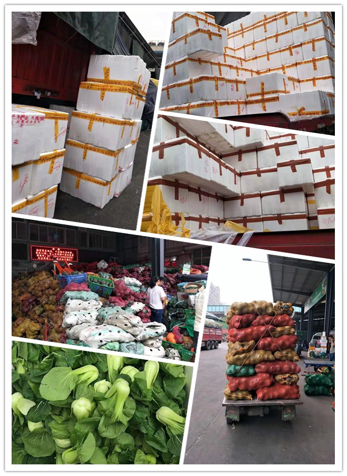 首页| J9集团国际站官方网站