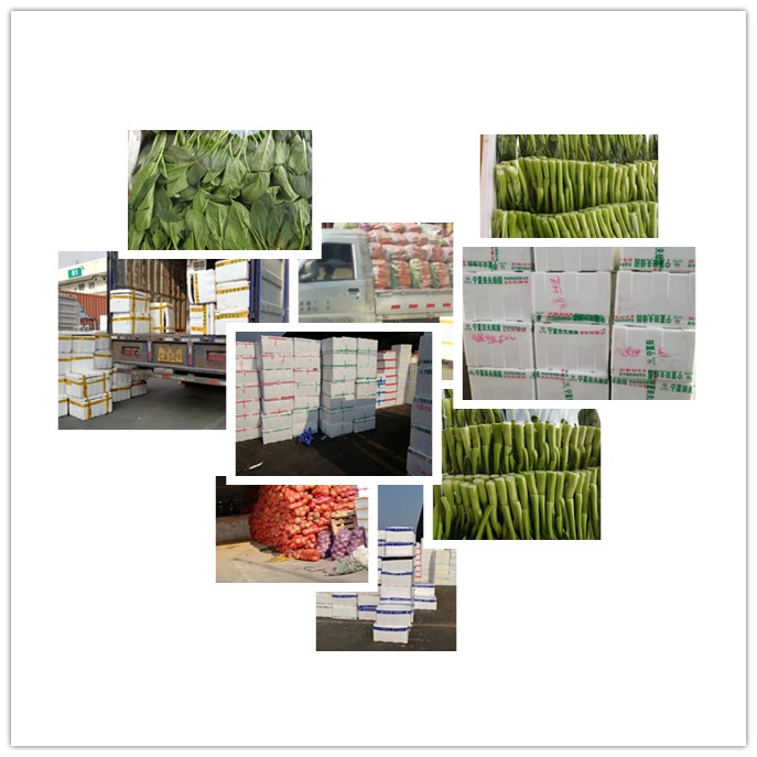 首页| J9集团国际站官方网站