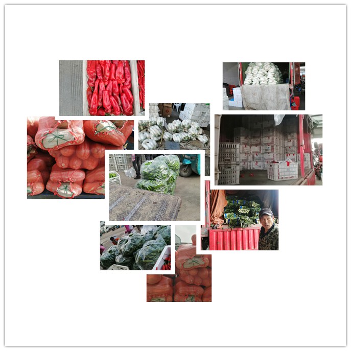 首页| J9集团国际站官方网站