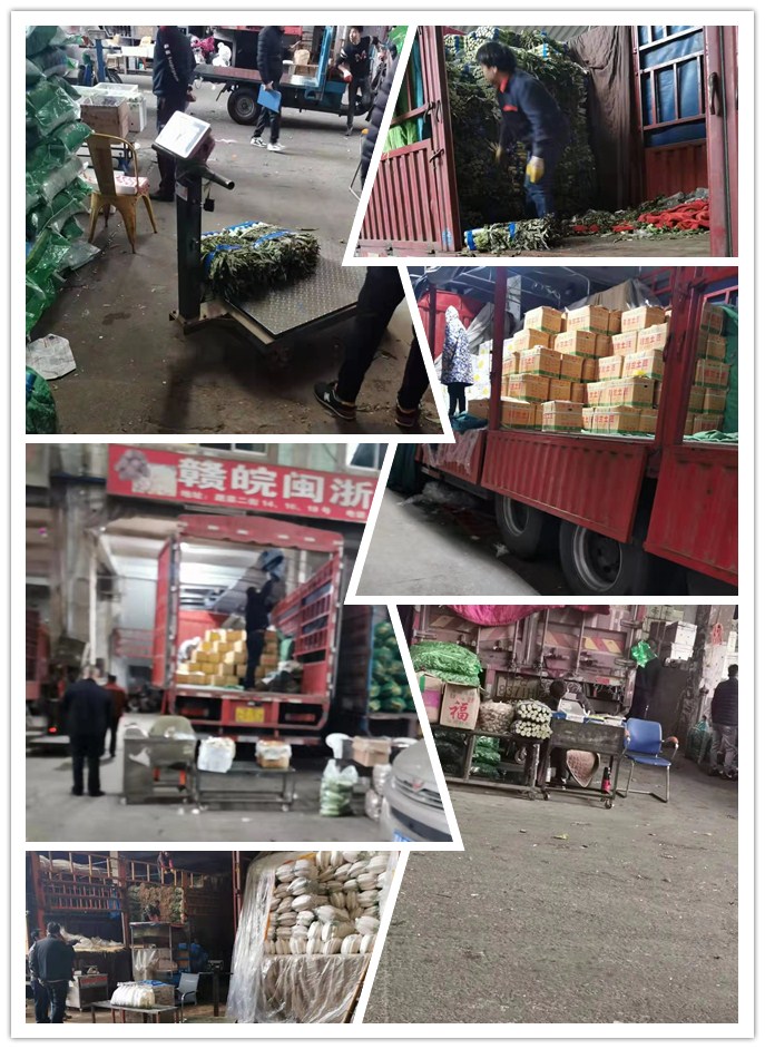 首页| J9集团国际站官方网站