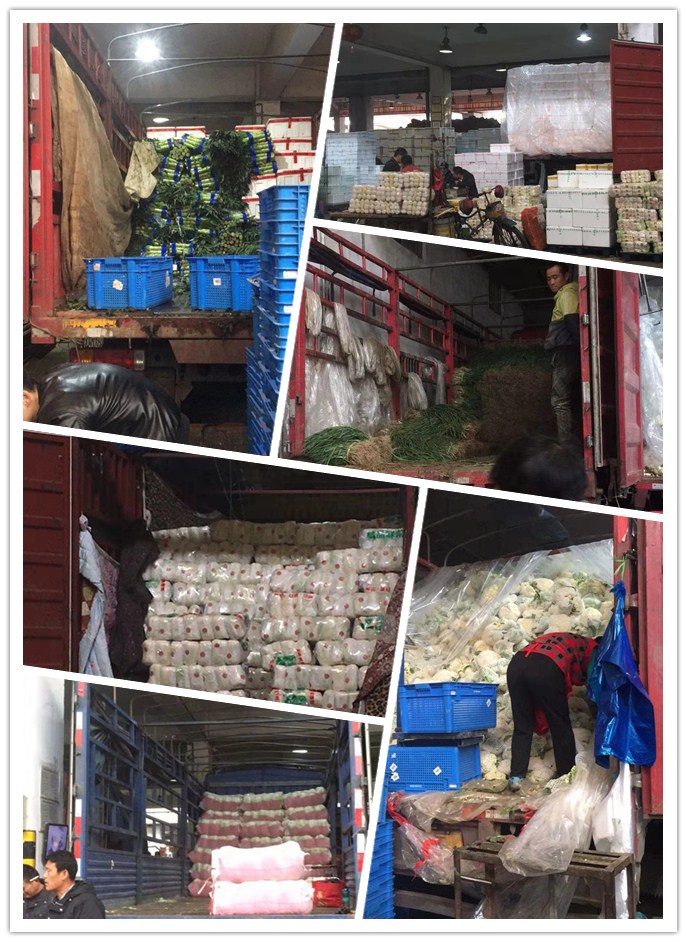 首页| J9集团国际站官方网站