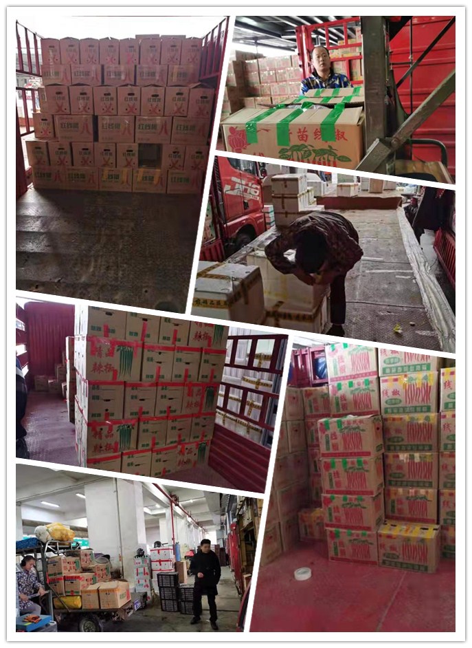 首页| J9集团国际站官方网站