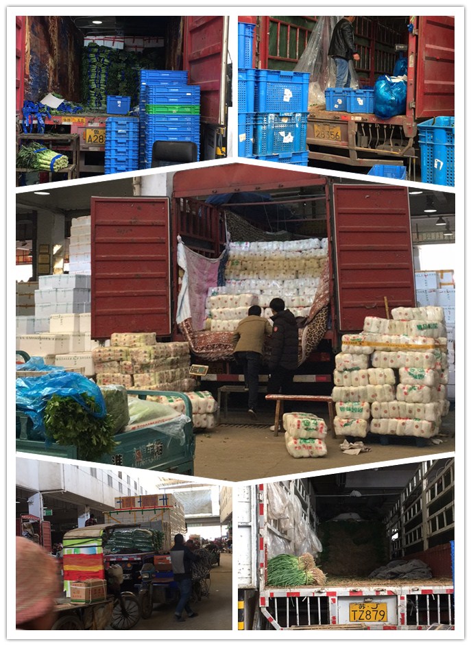 首页| J9集团国际站官方网站