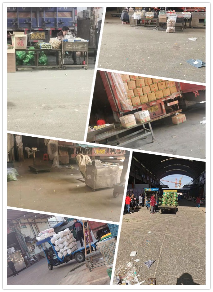 首页| J9集团国际站官方网站