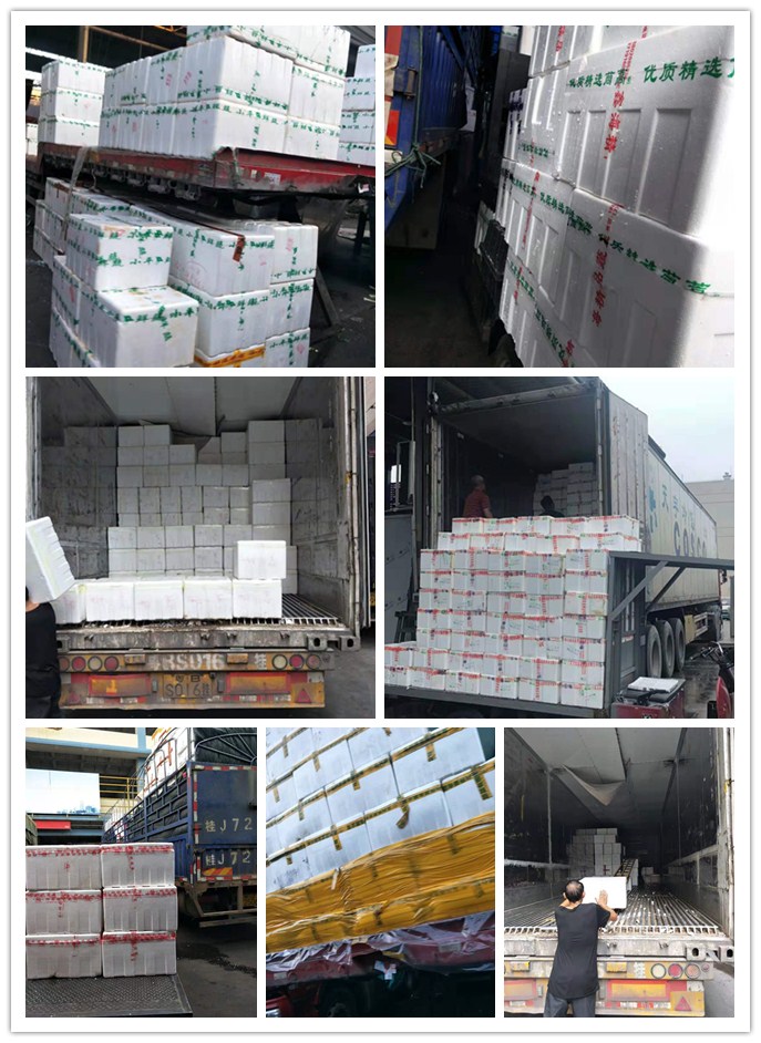 首页| J9集团国际站官方网站