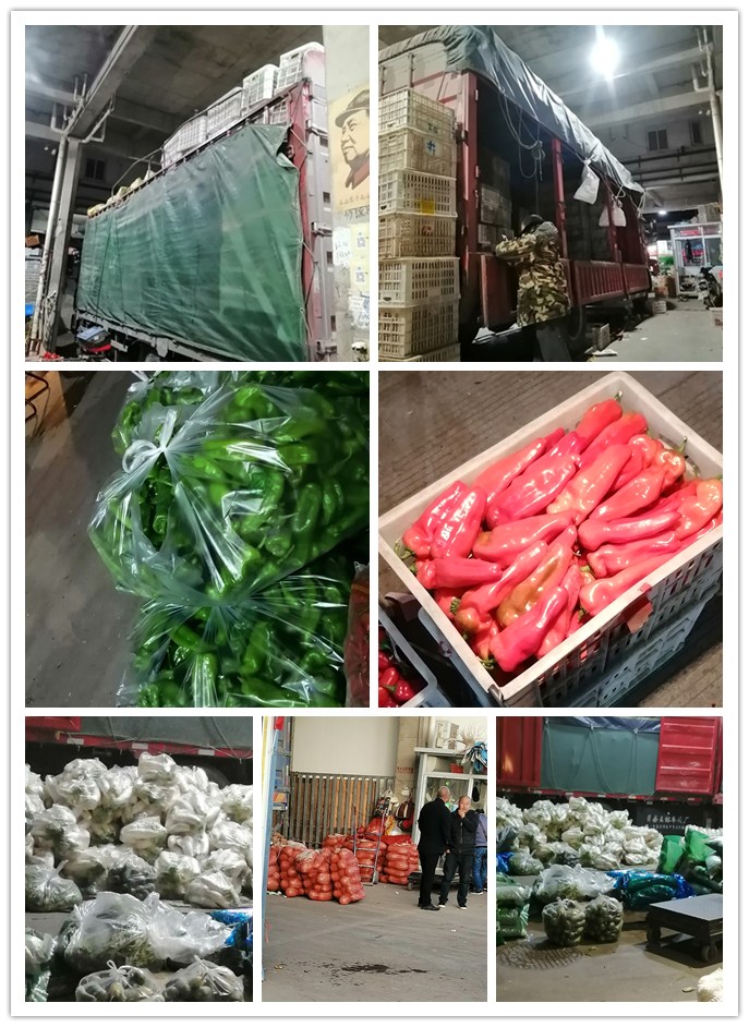 首页| J9集团国际站官方网站