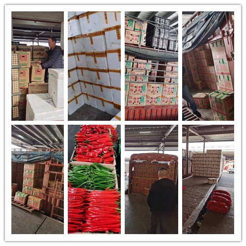 首页| J9集团国际站官方网站