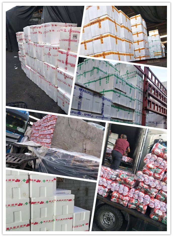 首页| J9集团国际站官方网站