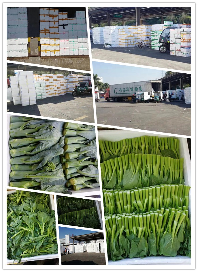 首页| J9集团国际站官方网站