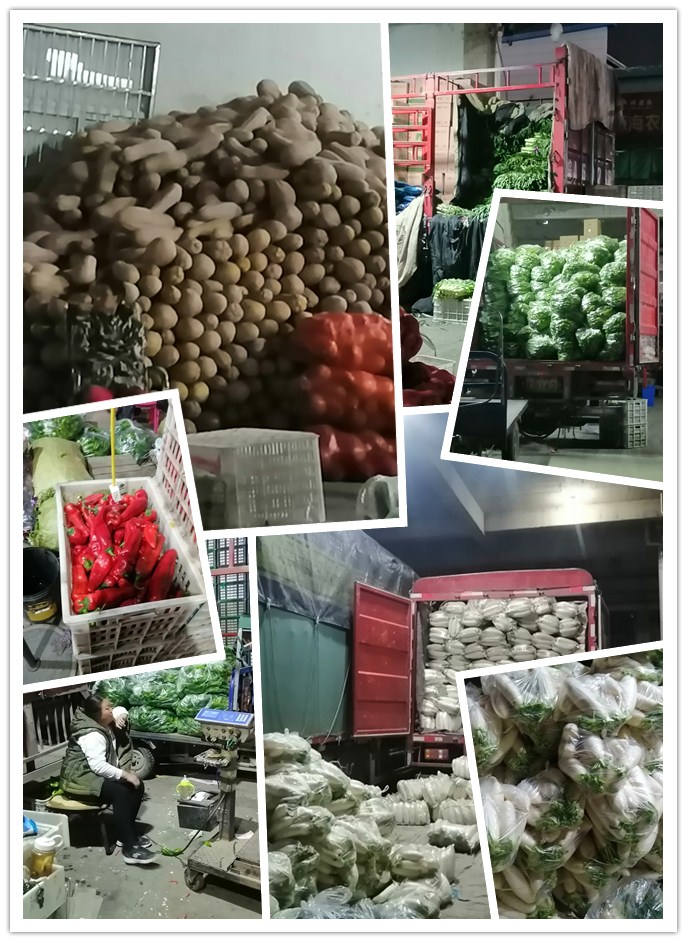 首页| J9集团国际站官方网站