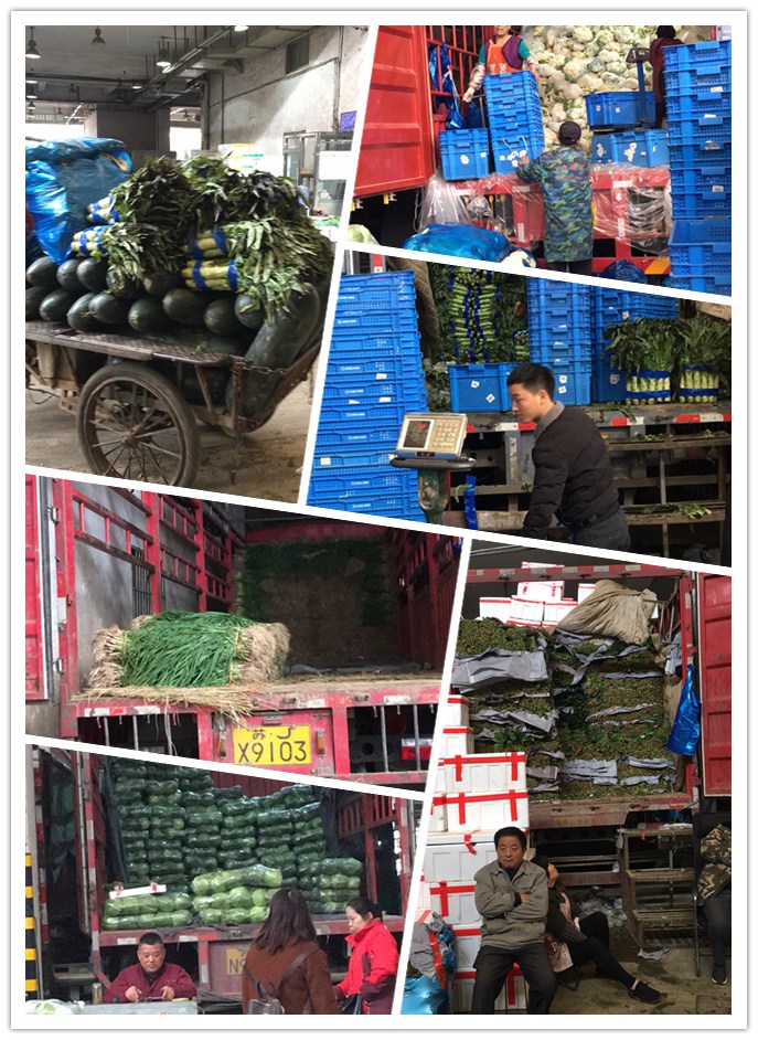 首页| J9集团国际站官方网站