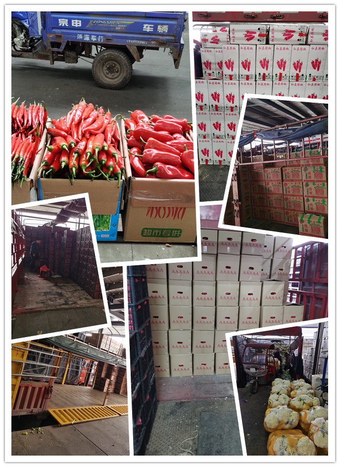 首页| J9集团国际站官方网站