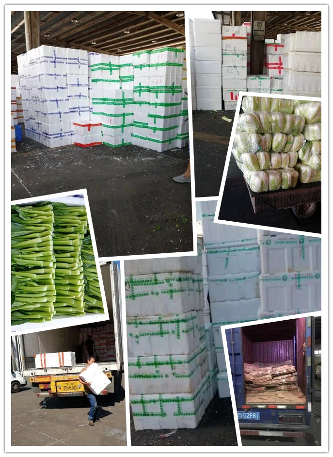 首页| J9集团国际站官方网站