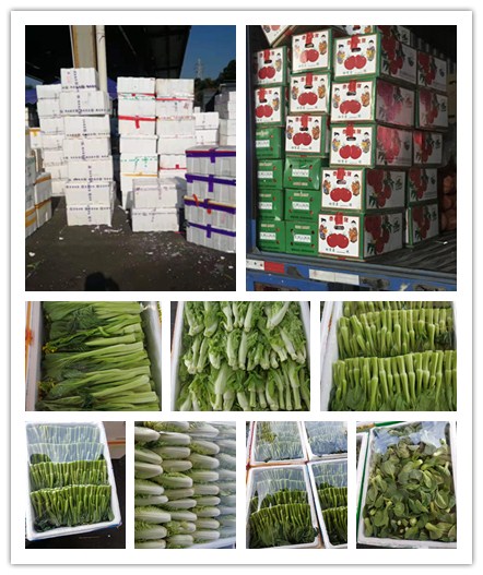 首页| J9集团国际站官方网站