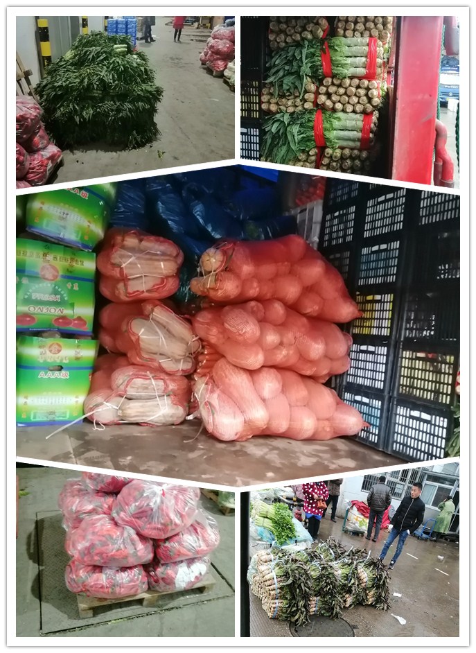 首页| J9集团国际站官方网站