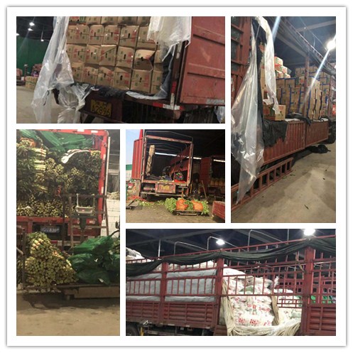 首页| J9集团国际站官方网站