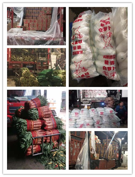 首页| J9集团国际站官方网站