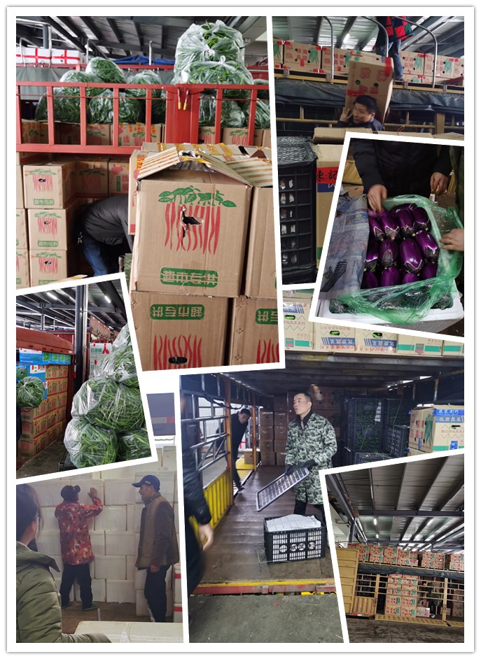 首页| J9集团国际站官方网站