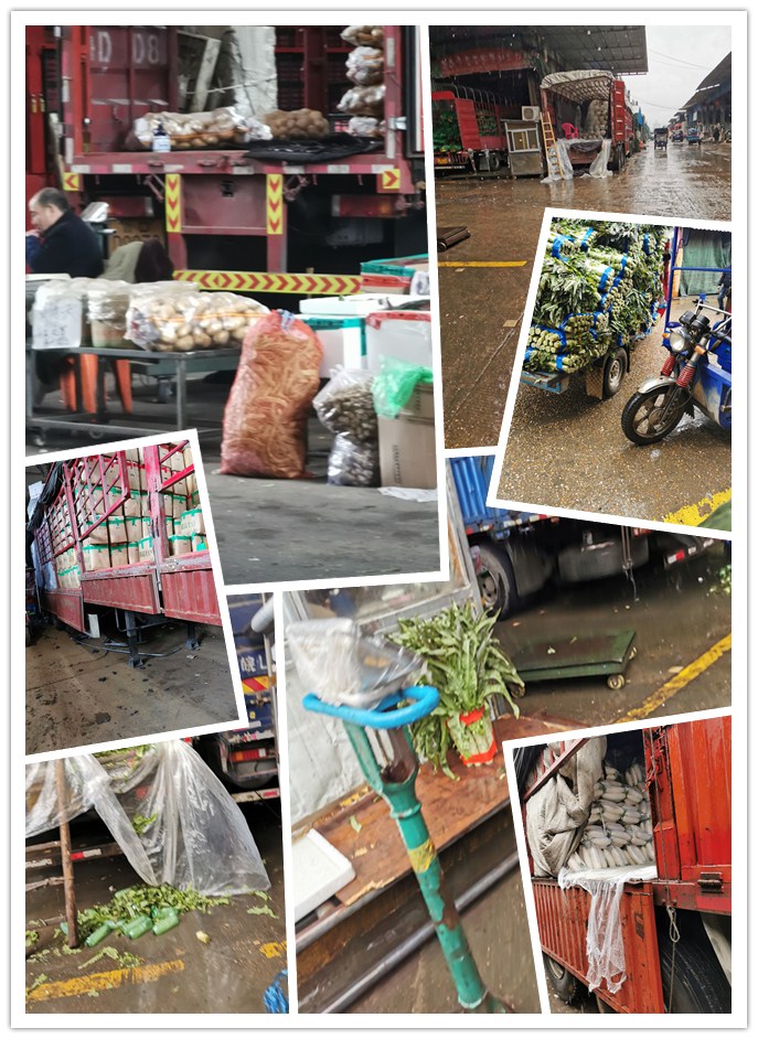 首页| J9集团国际站官方网站